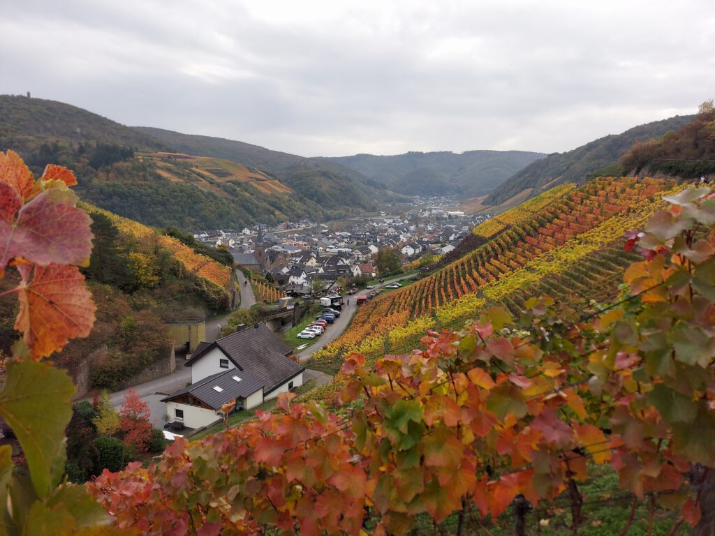 Das Ahrtal - Stiftung Ahrtal